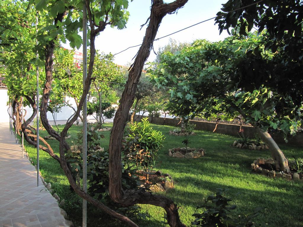 Pansion Ivan Guest house