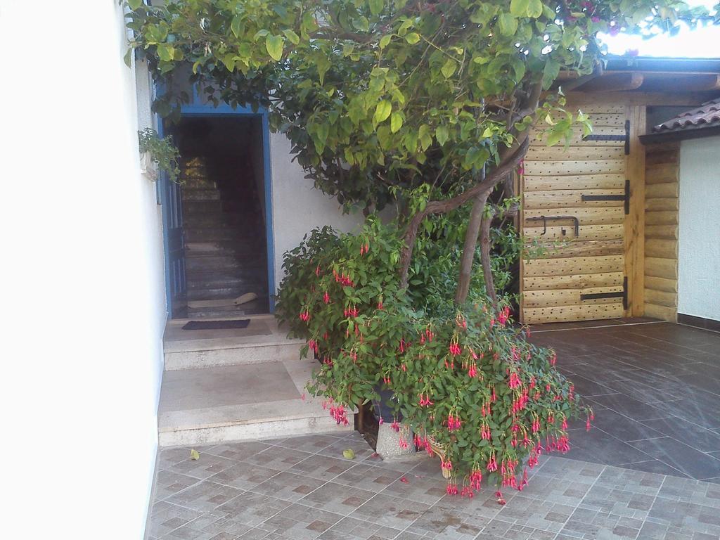 Guest house Pansion Ivan *