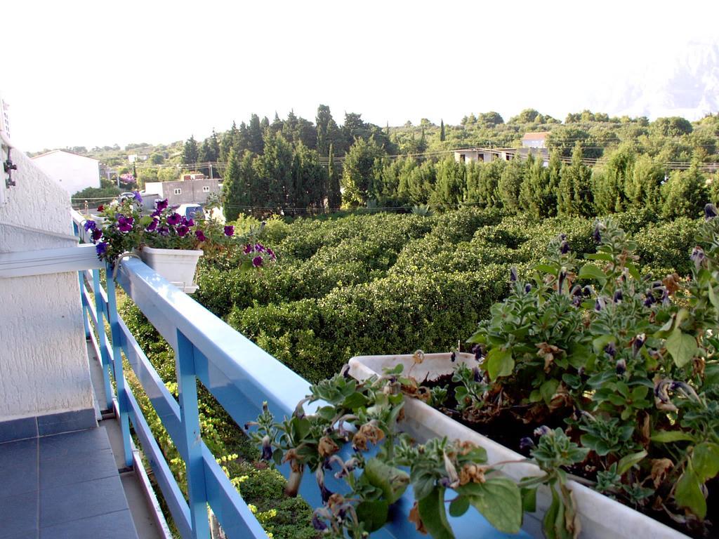 Pansion Ivan Guest house Sucuraj