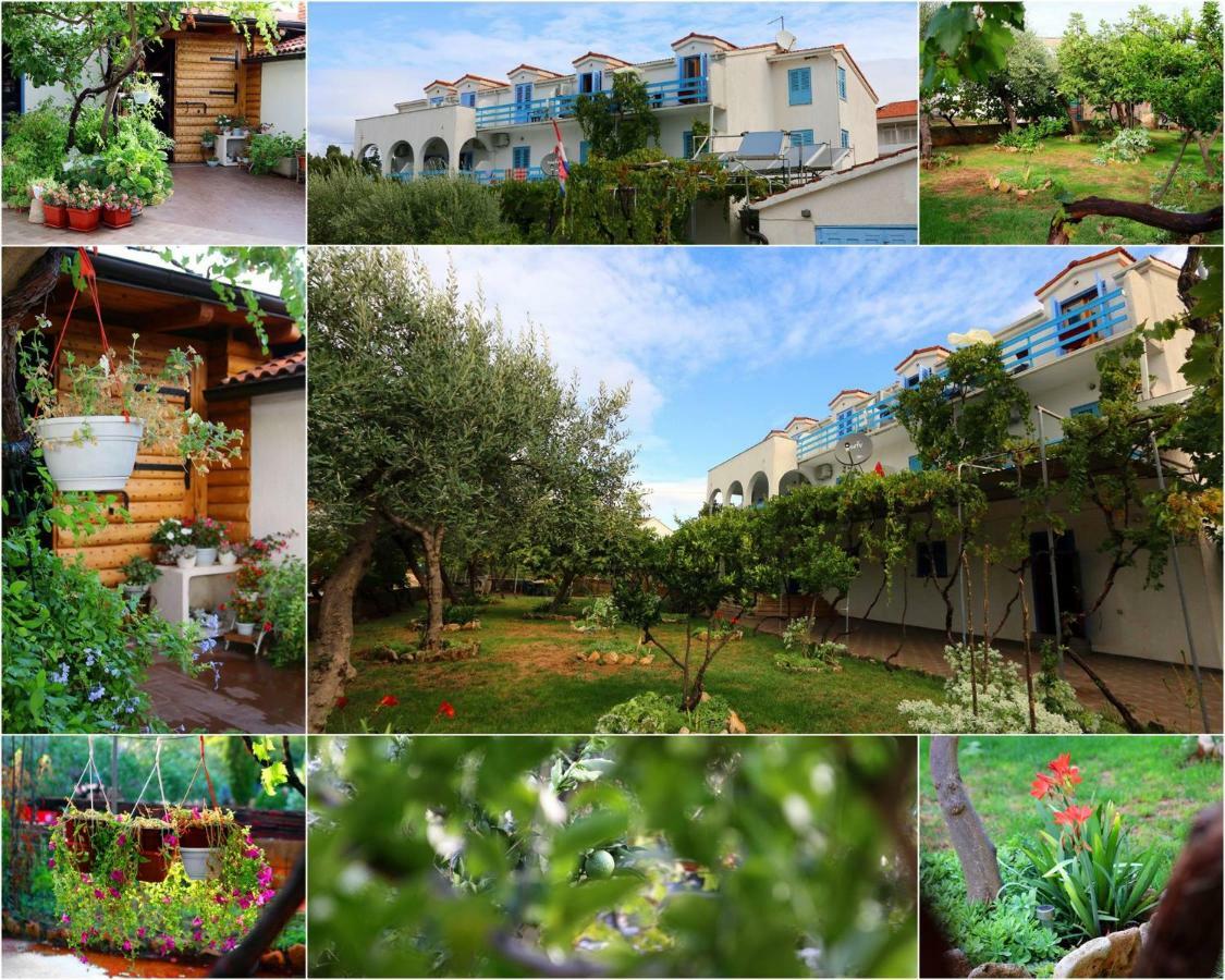 Pansion Ivan Guest house